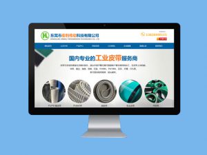熔噴機網(wǎng)帶-網(wǎng)絡營銷外包